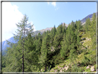 foto Forcella Magna